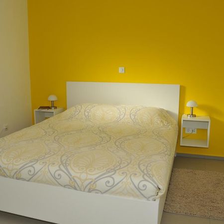 לובליאנה Atrium Flat In The Villa מראה חיצוני תמונה